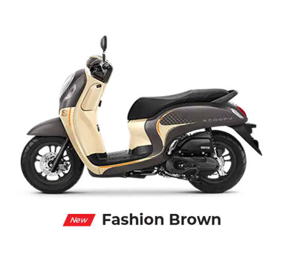 Honda Scoopy - Image 3