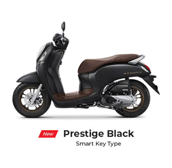 Honda Scoopy - Image 7