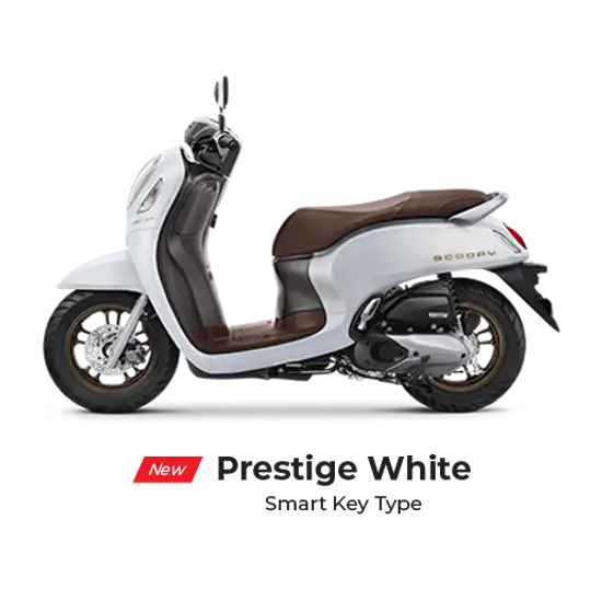 Honda Scoopy - Image 6